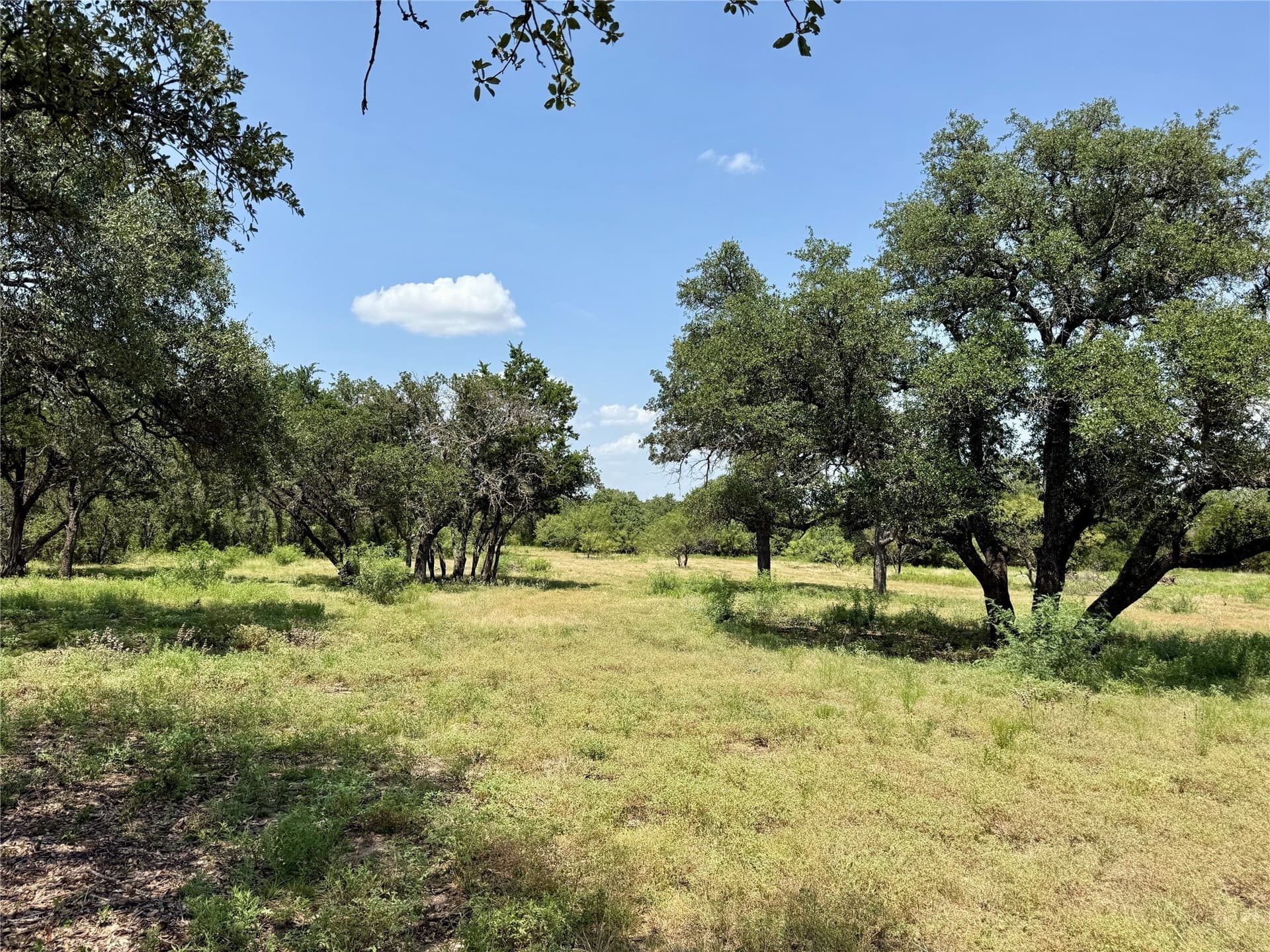 80.18 acres in Brown County - photo 35