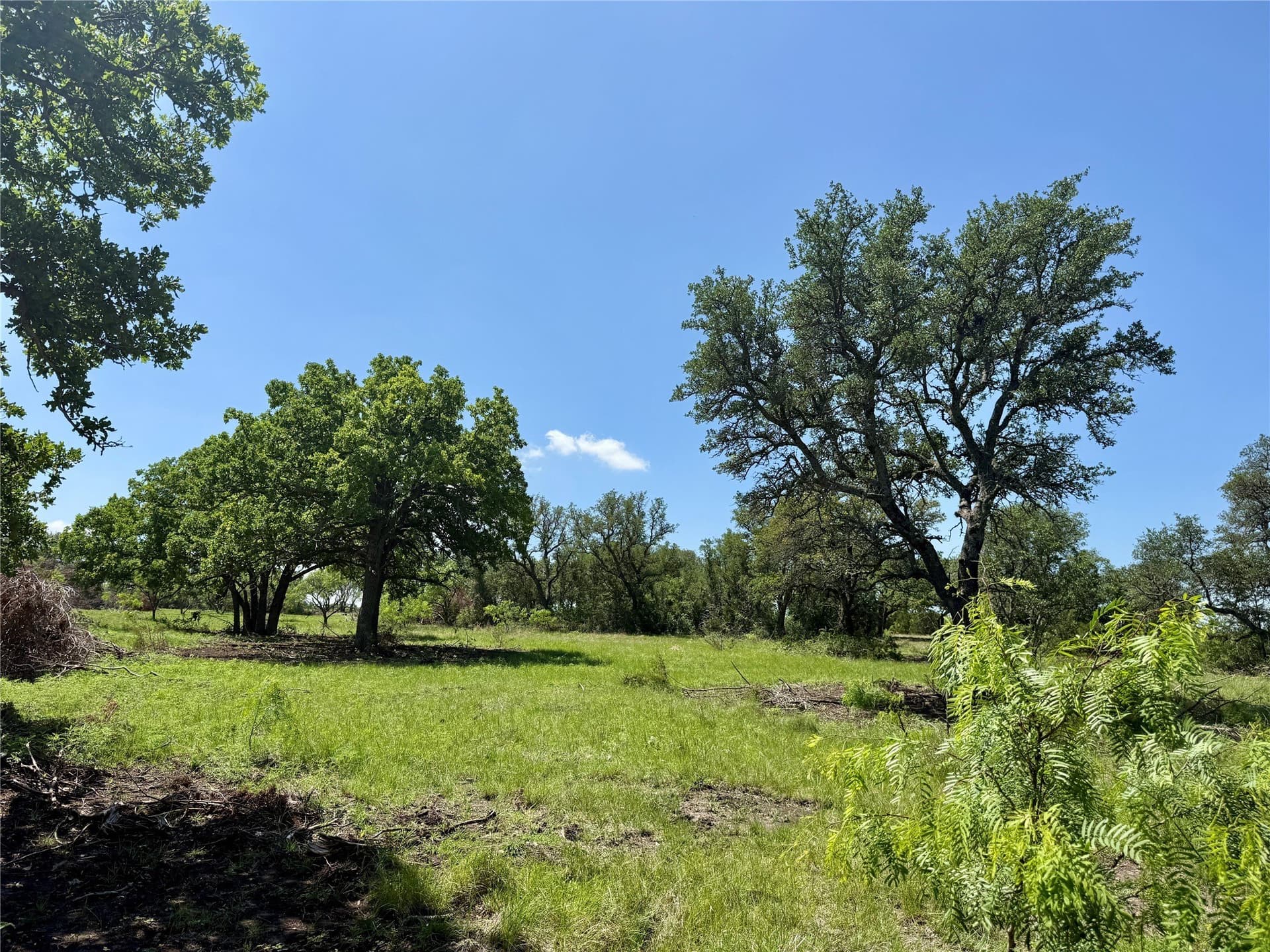 80.18 acres in Brown County - photo 15