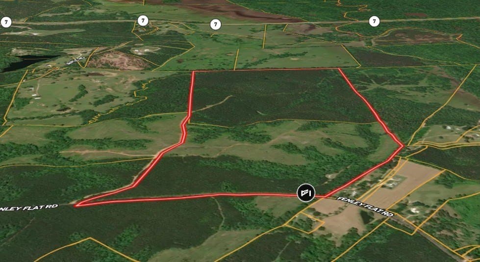259.23 acres in Texas County gallery image 3