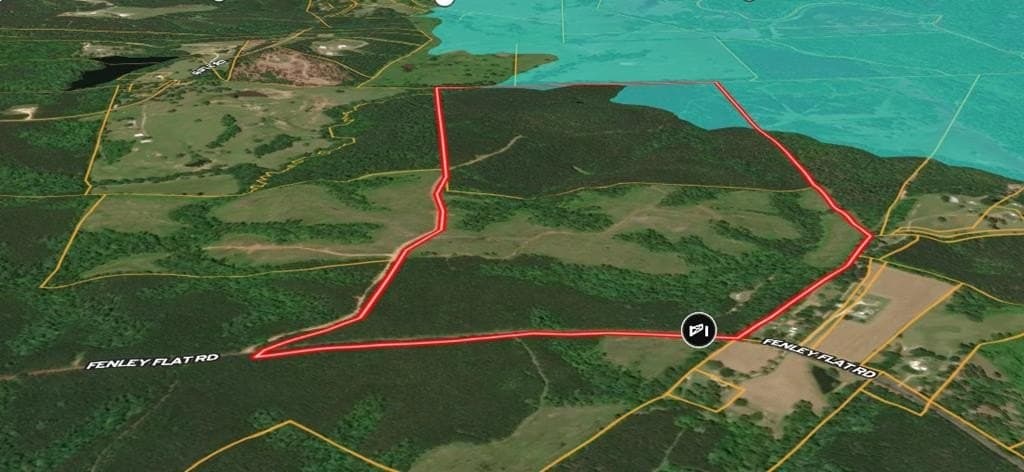 259.23 acres in Texas County gallery image 4