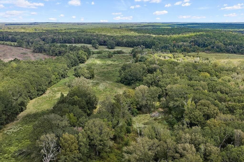 96 acres in Texas County - photo 6