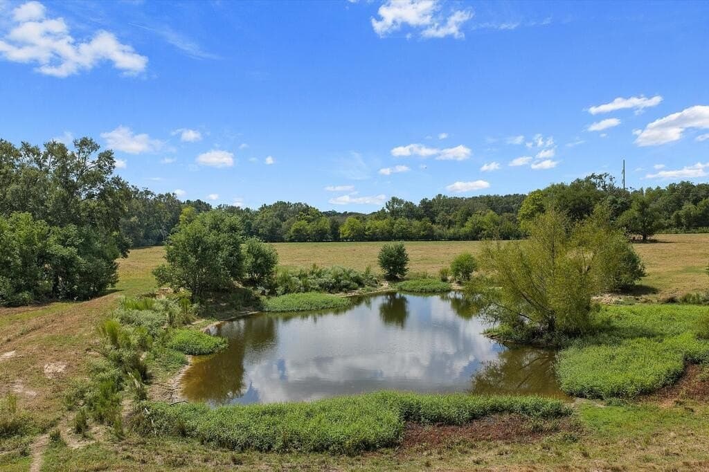 96 acres in Texas County - photo 10