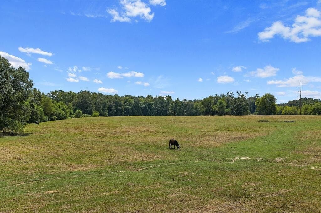 96 acres in Texas County - photo 13