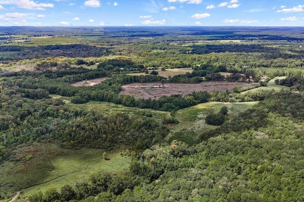 96 acres in Texas County - photo 4