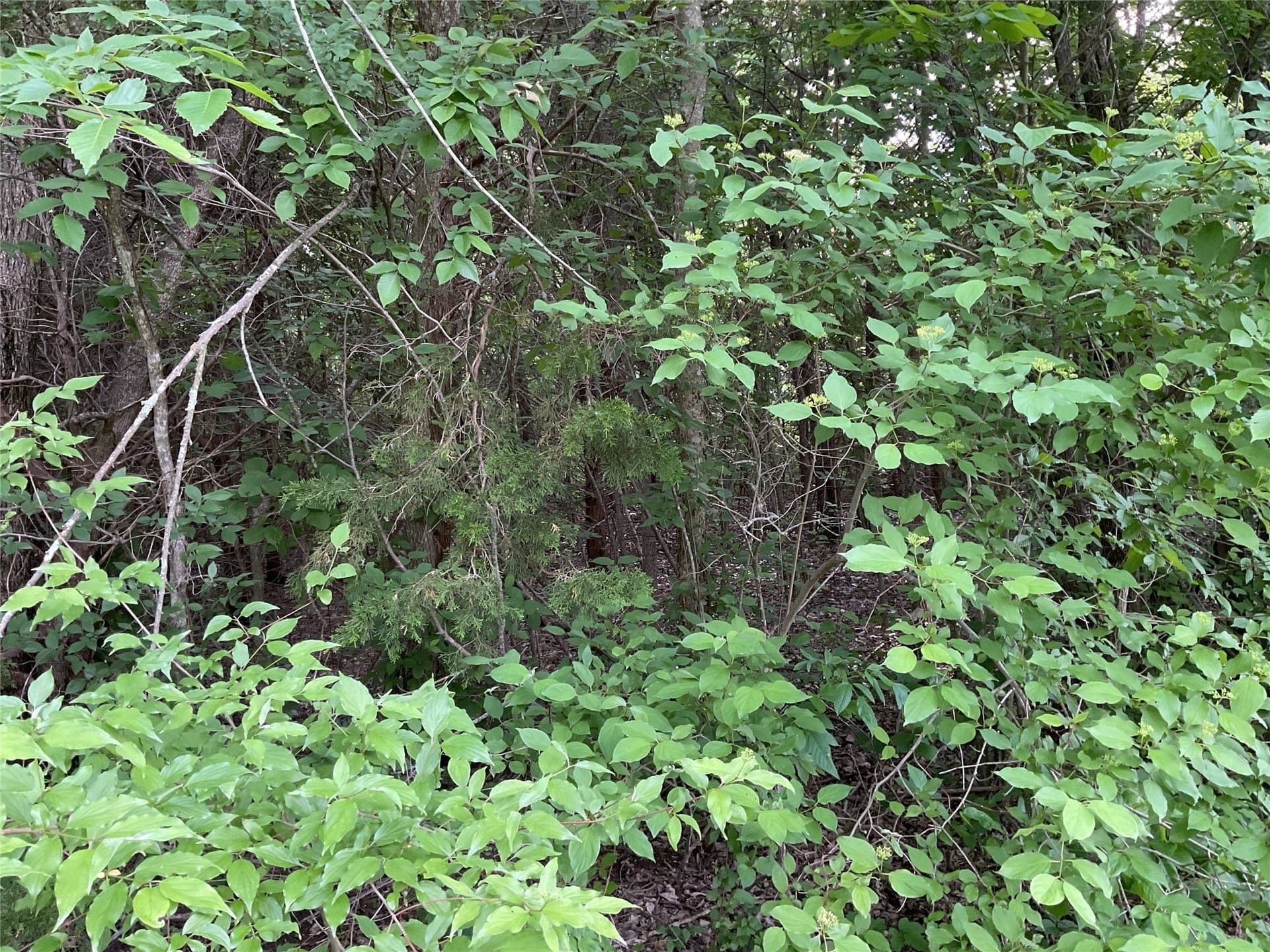 4.84 acres in Collin County - photo 12