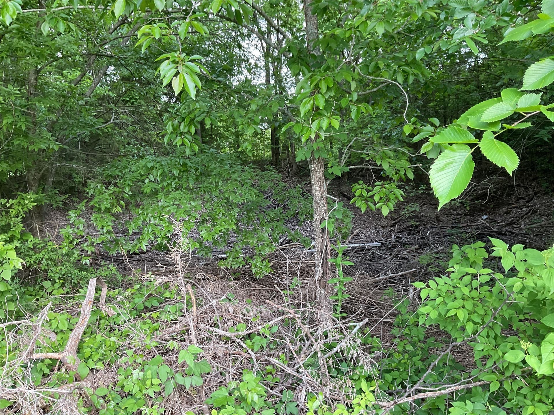 4.84 acres in Collin County - photo 11