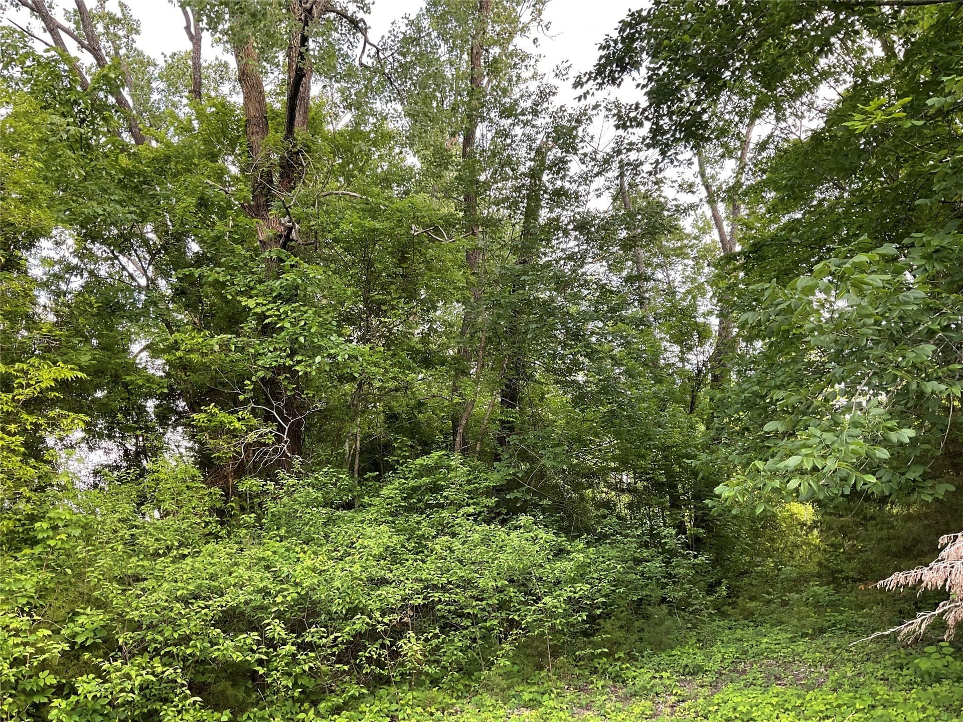 4.84 acres in Collin County - photo 9