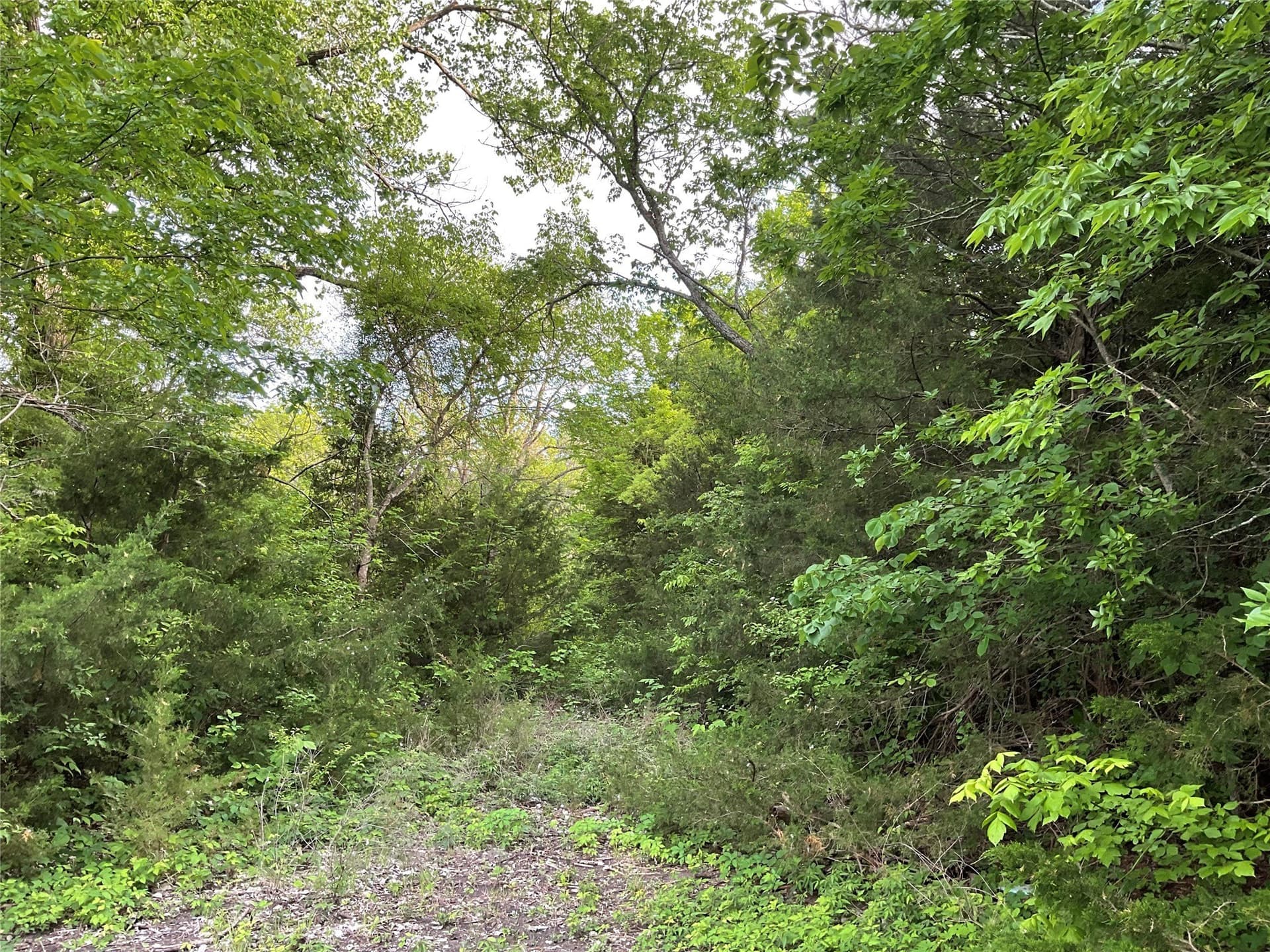4.84 acres in Collin County - photo 13