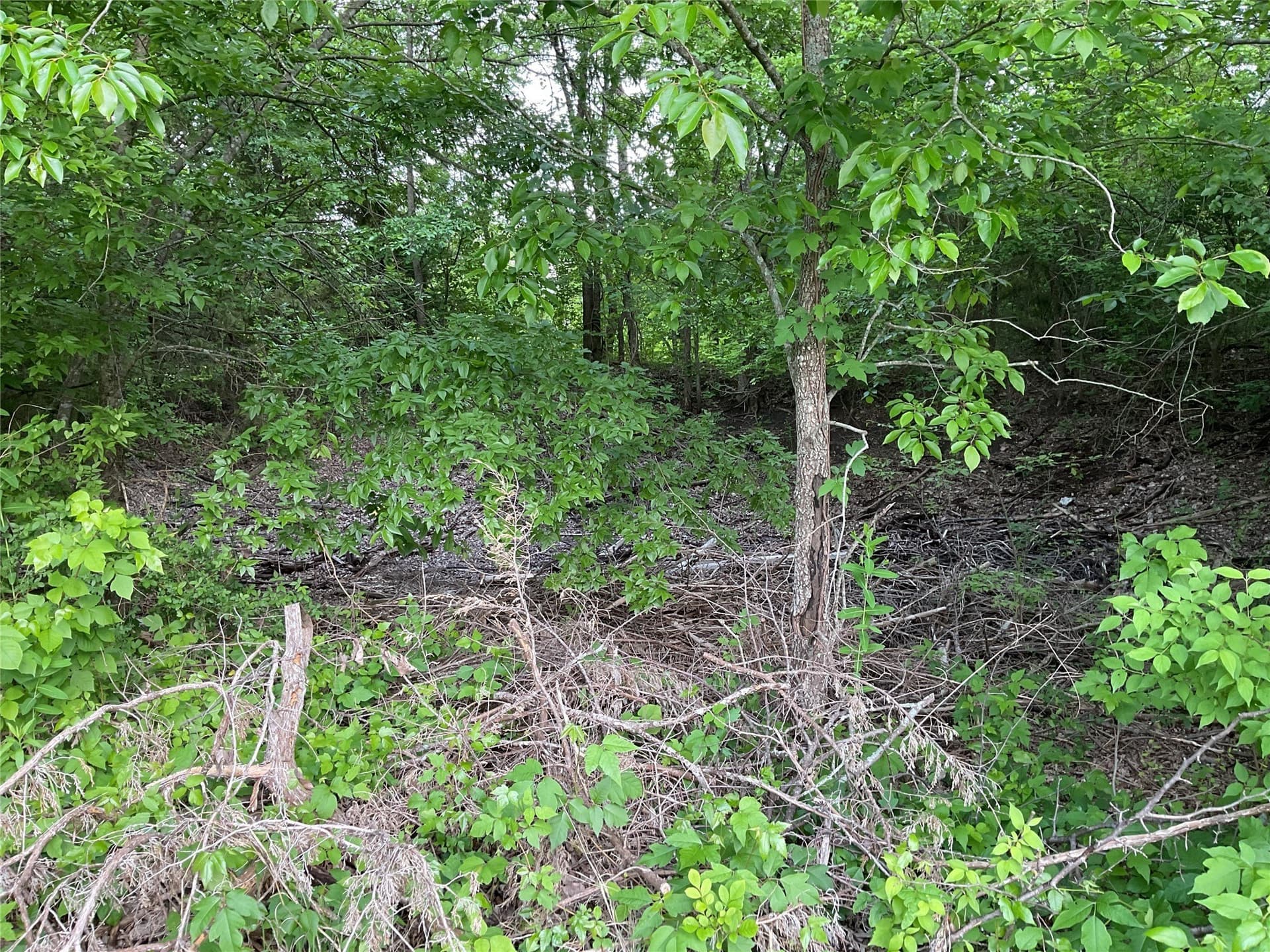 4.84 acres in Collin County - photo 10