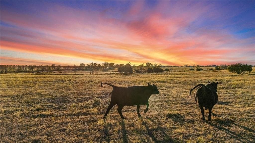 72.53 acres in Bosque County gallery image 2