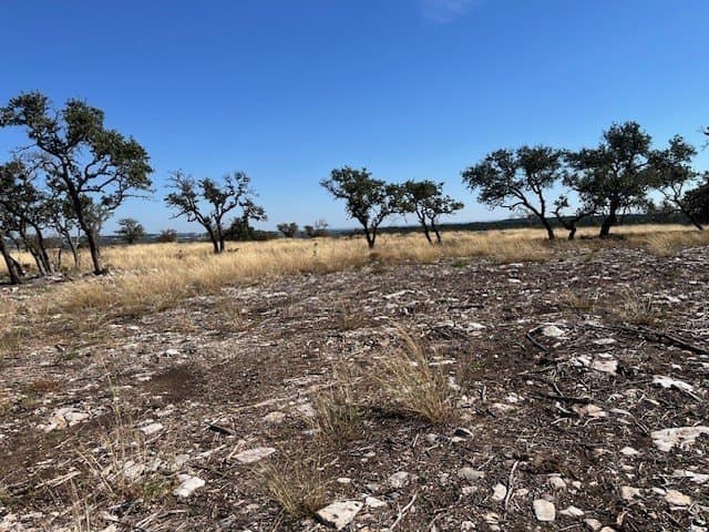 10.02 acres in Gillespie County gallery image 4