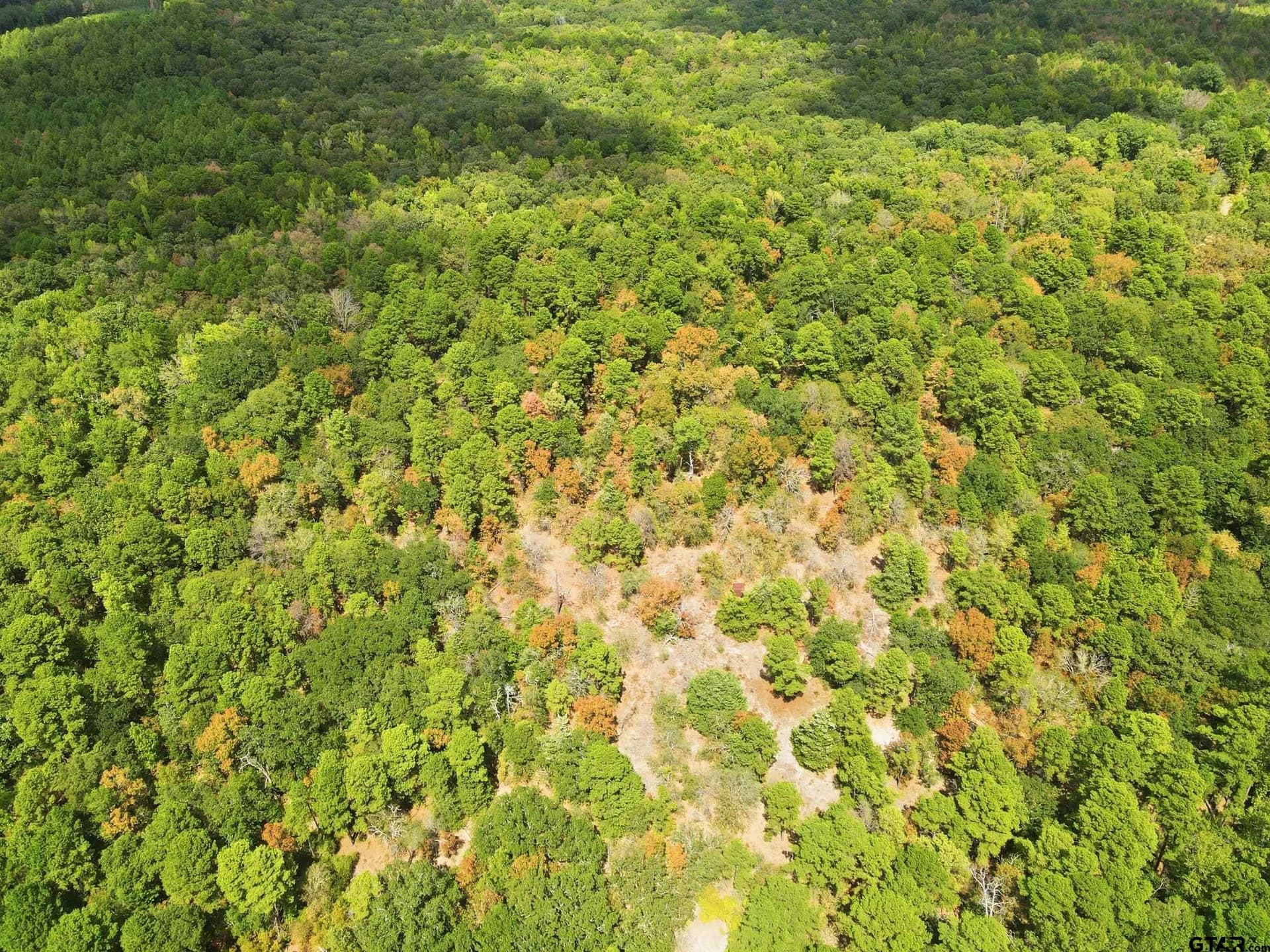 19.36 acres in Wood County - photo 7