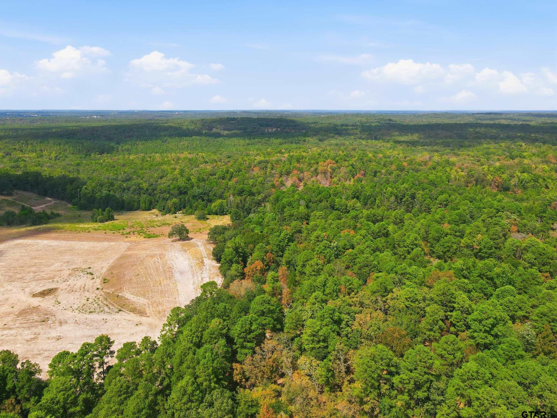 19.36 acres in Wood County - photo 8