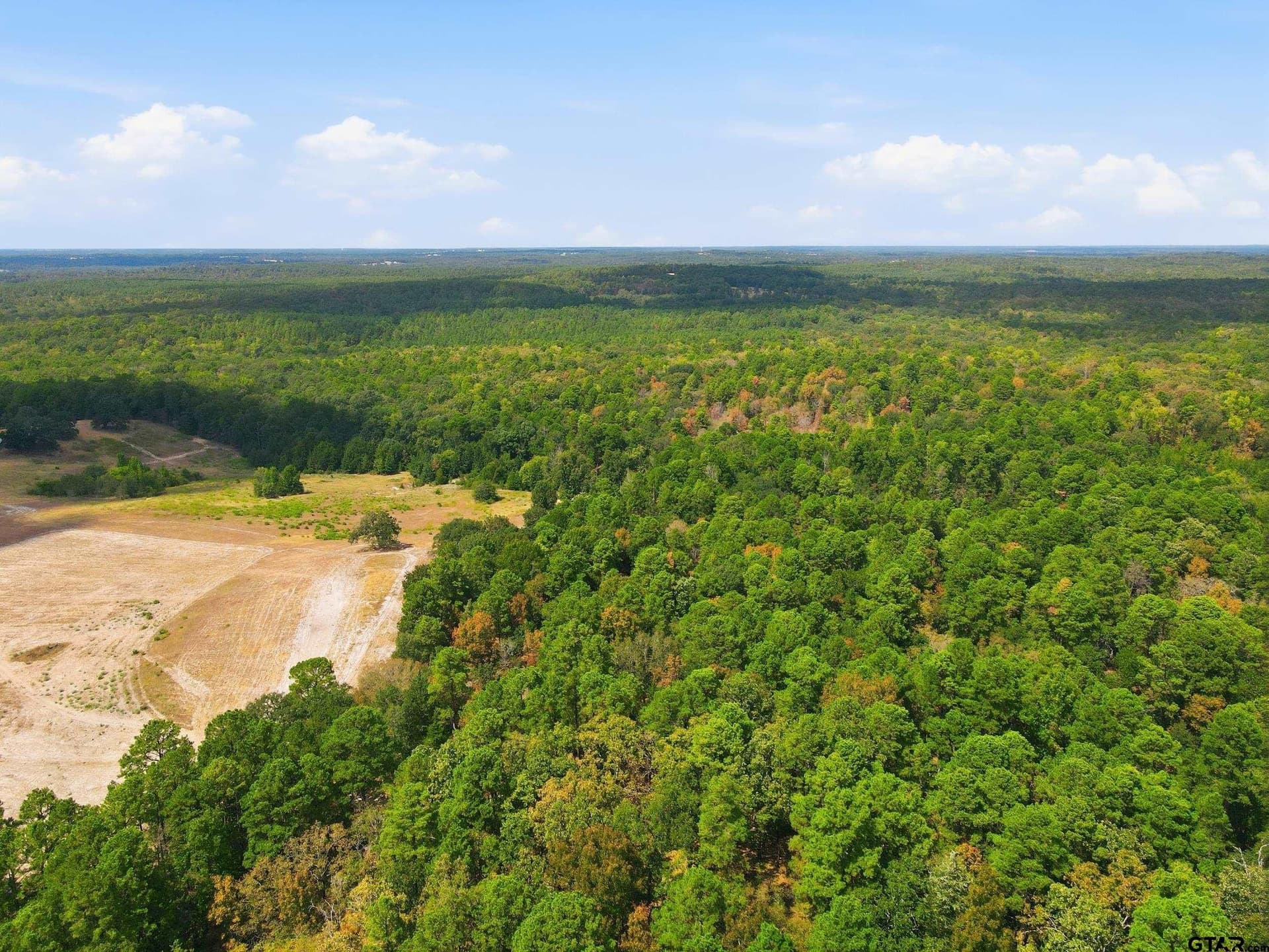19.36 acres in Wood County - photo 9