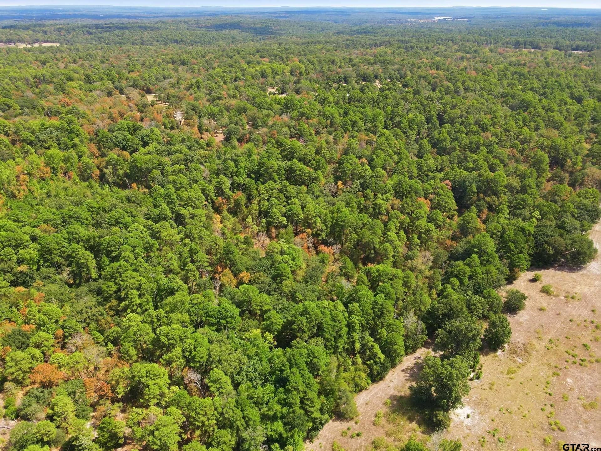 19.36 acres in Wood County - photo 5