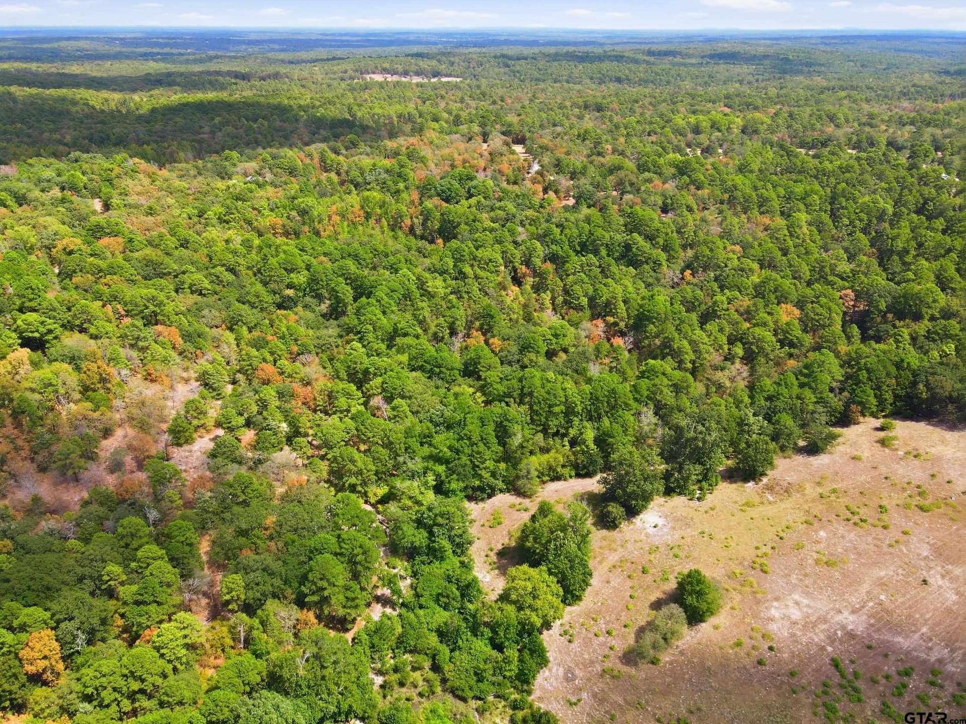 19.36 acres in Wood County - photo 4