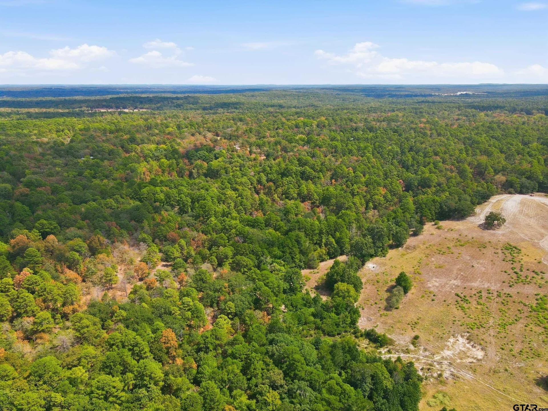 19.36 acres in Wood County - photo 13