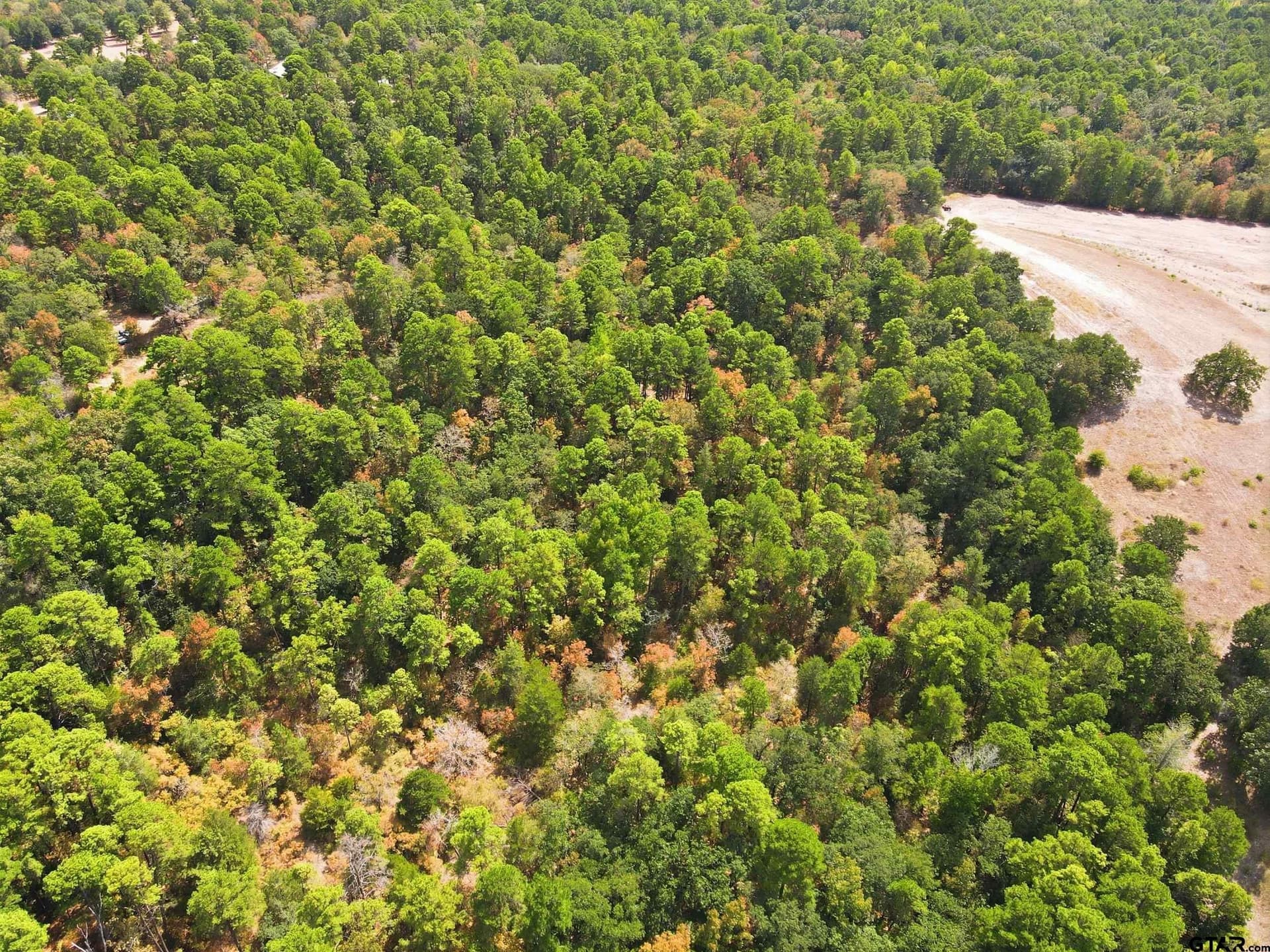19.36 acres in Wood County - photo 16