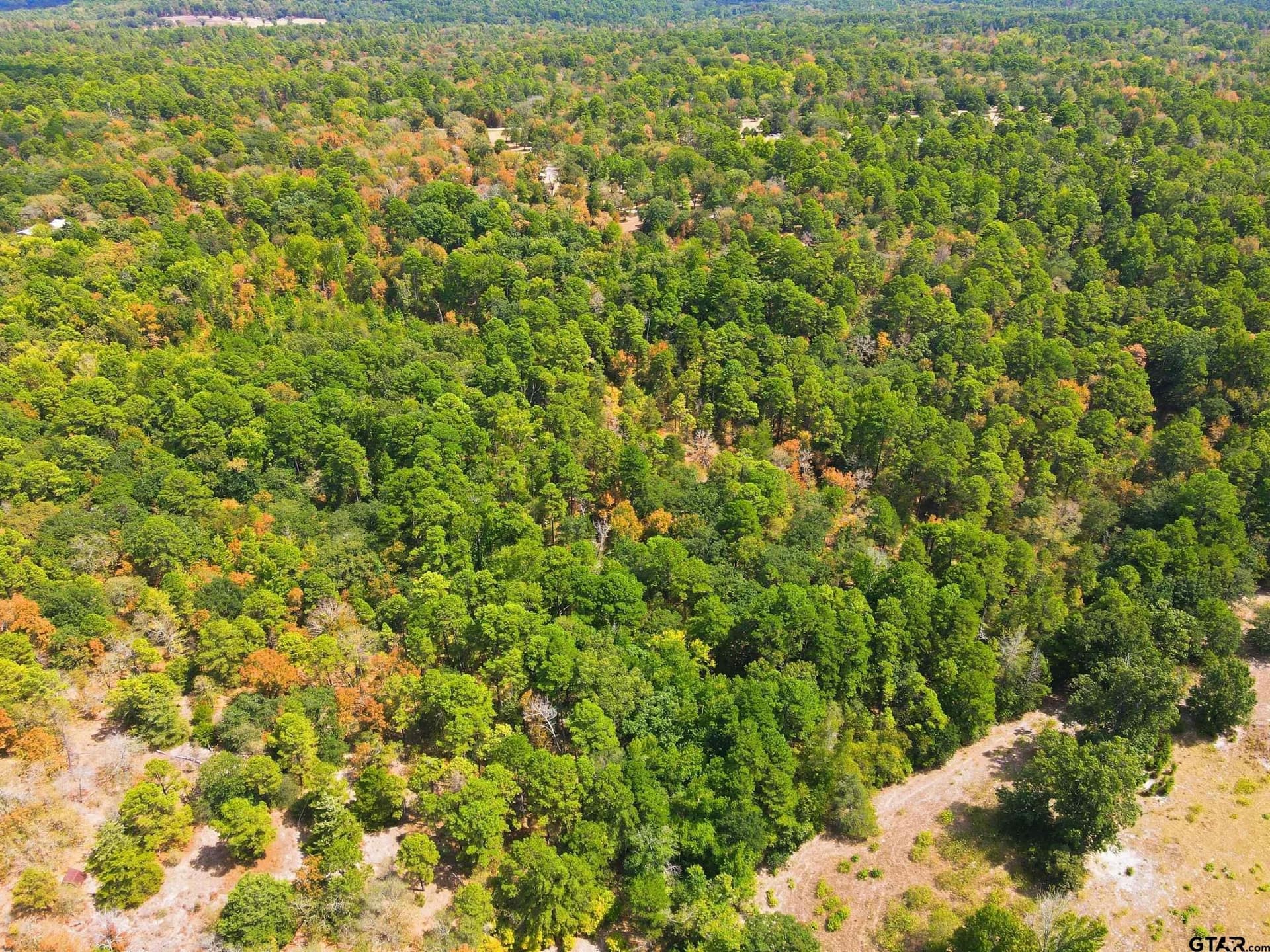 19.36 acres in Wood County - photo 6