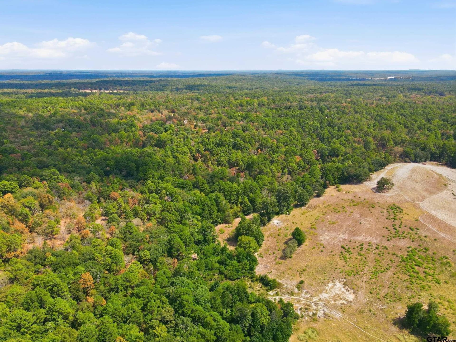 19.36 acres in Wood County - photo 12