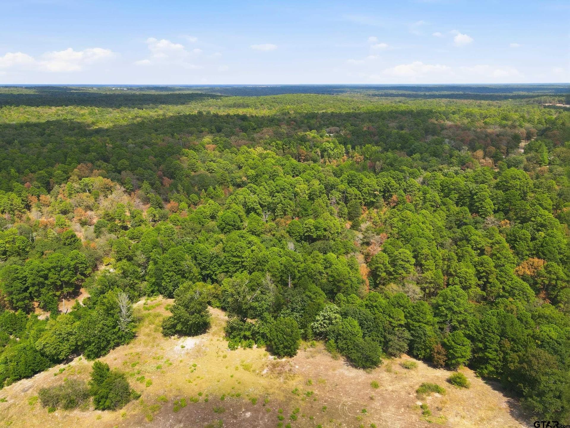 19.36 acres in Wood County - photo 10