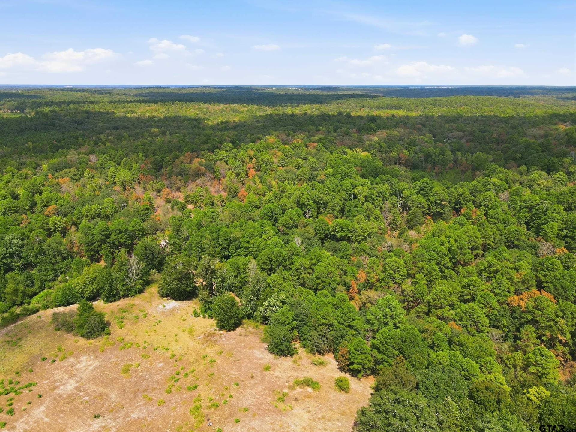 19.36 acres in Wood County - photo 11