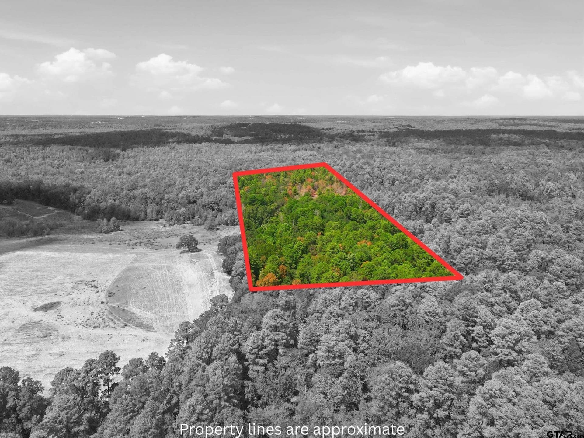 19.36 acres in Wood County