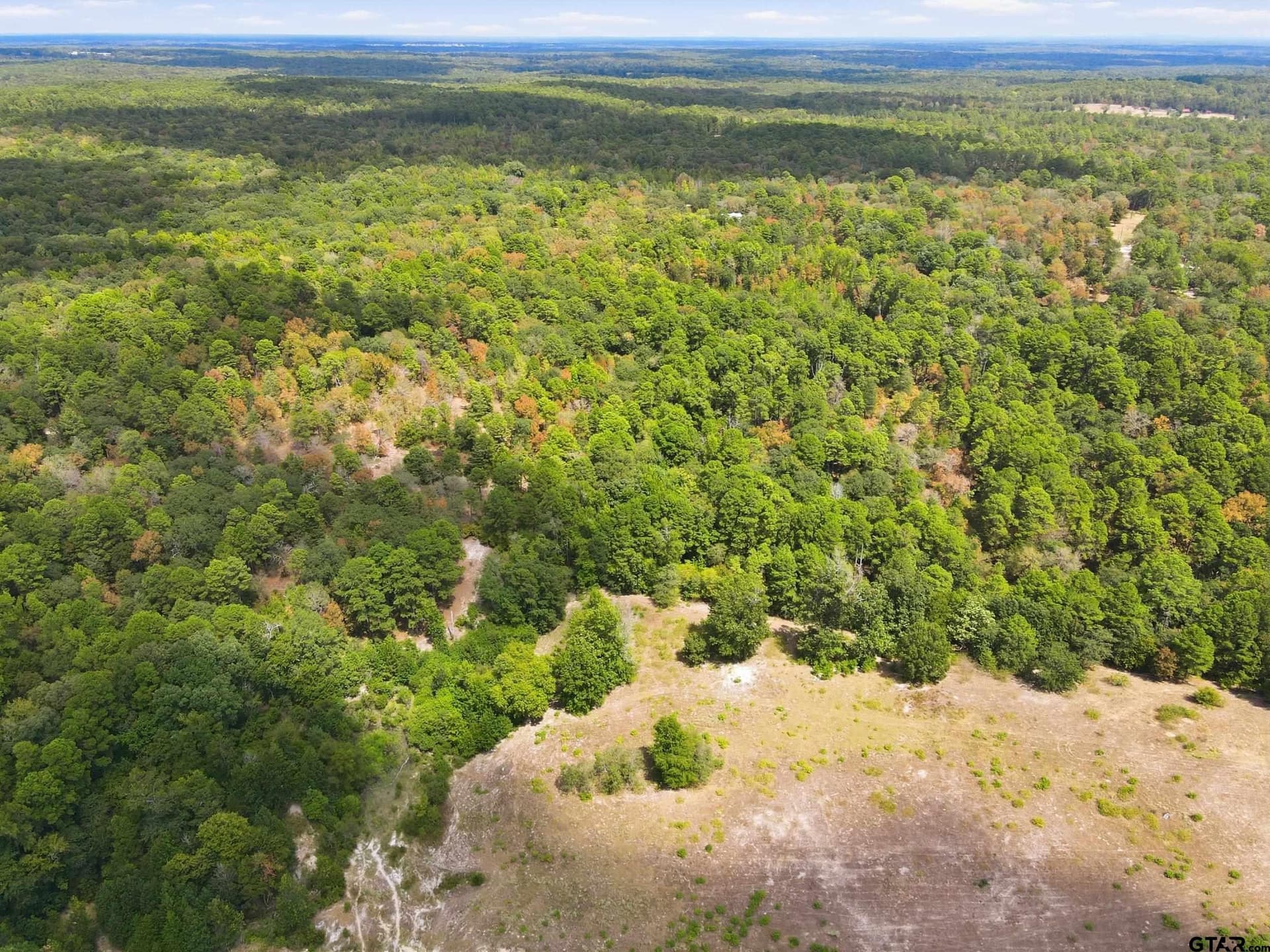 19.36 acres in Wood County - photo 3