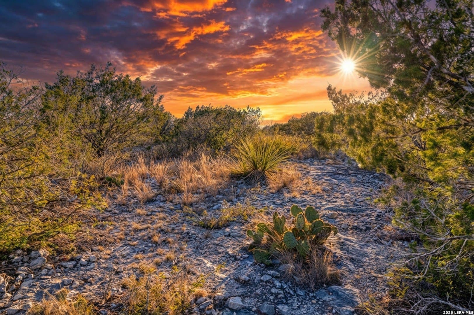 8.55 acres in Uvalde County gallery image 2