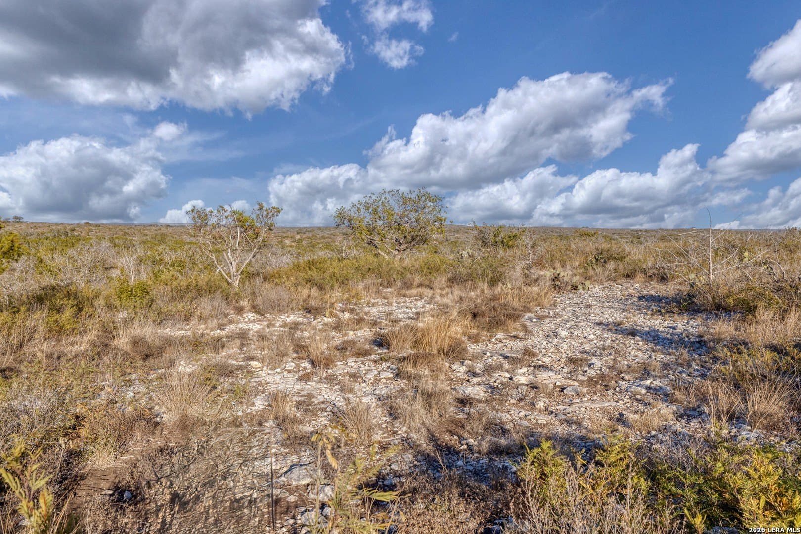 8.55 acres in Uvalde County gallery image 4