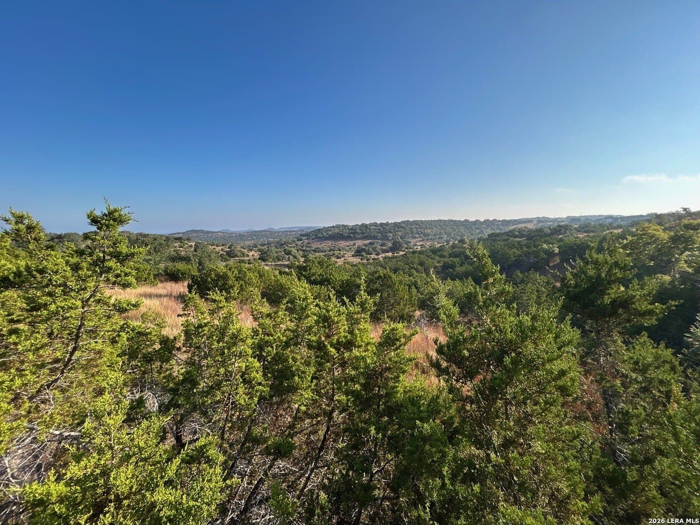 27.12 acres in Blanco County gallery image 2