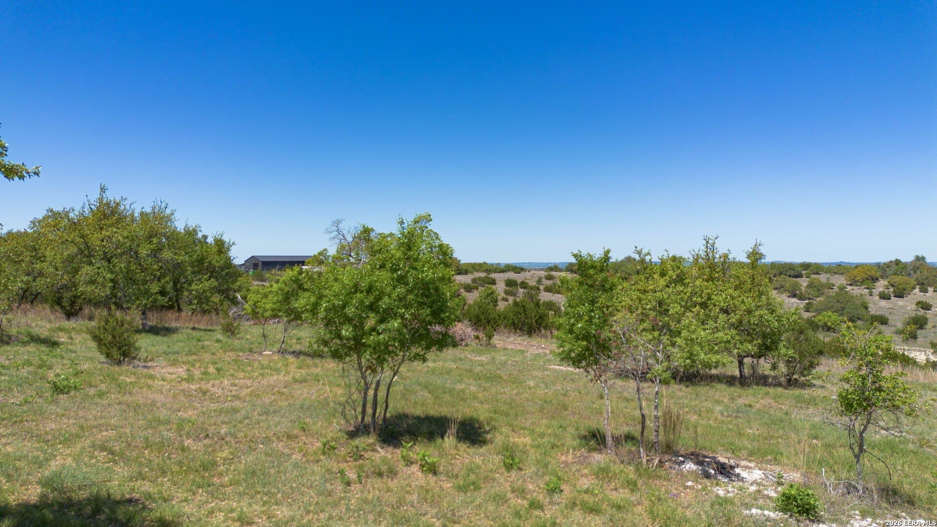 27.12 acres in Blanco County gallery image 4