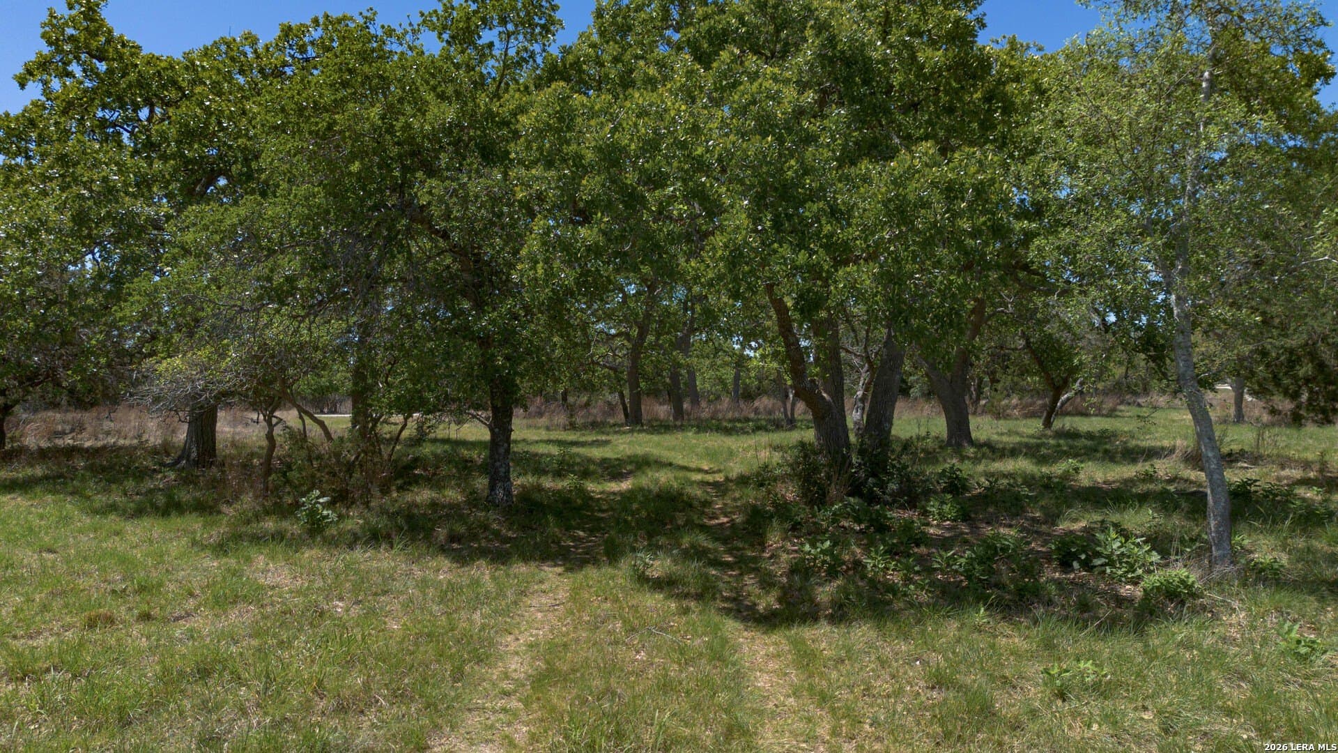 27.12 acres in Blanco County - photo 12