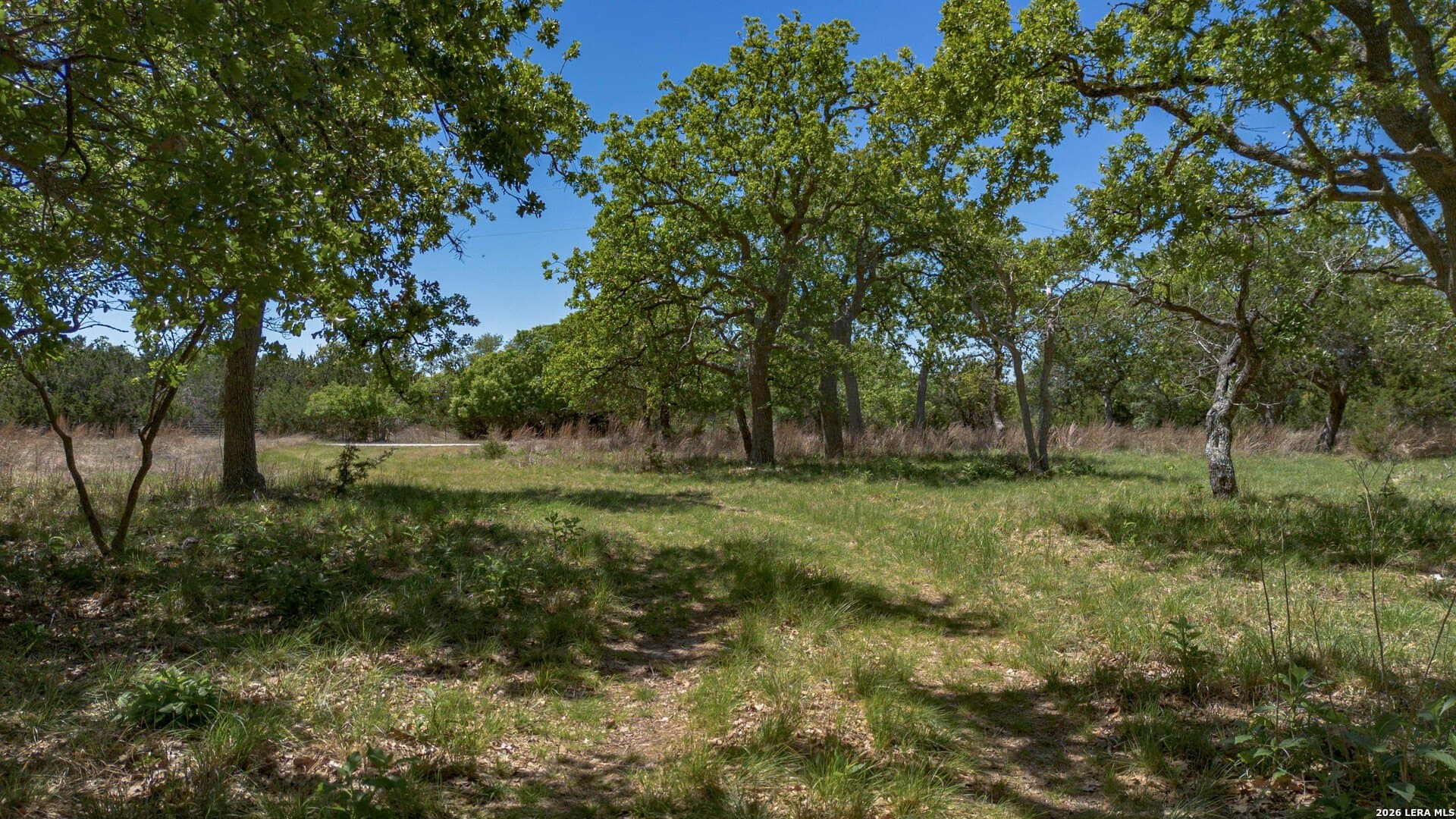 27.12 acres in Blanco County - photo 13