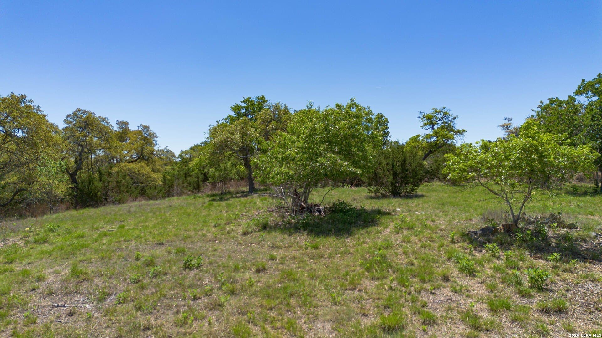 27.12 acres in Blanco County gallery image 3