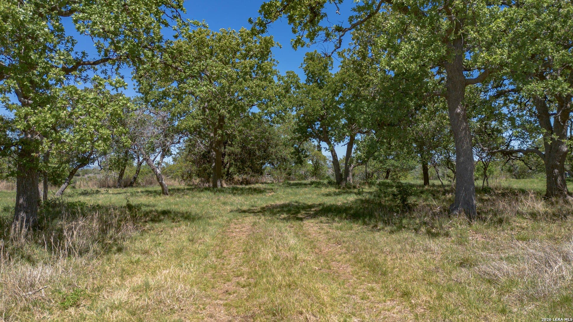 27.12 acres in Blanco County - photo 17