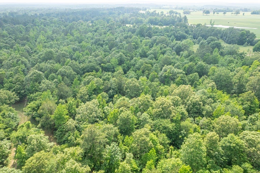 103.29 acres in ANDERSON County - photo 35