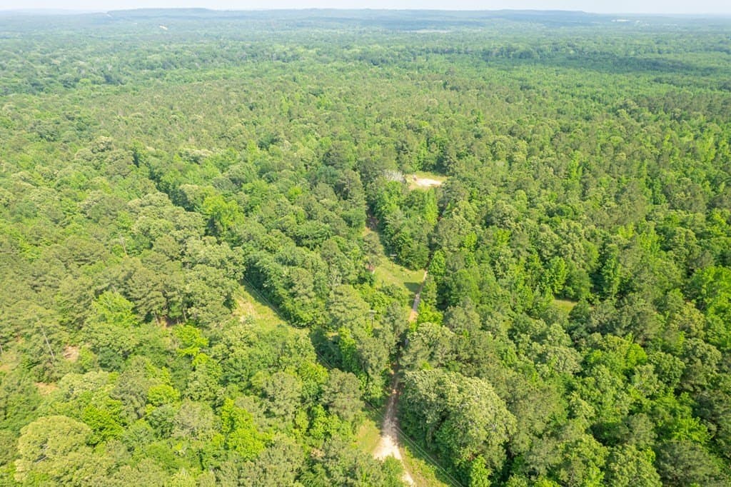103.29 acres in ANDERSON County - photo 13