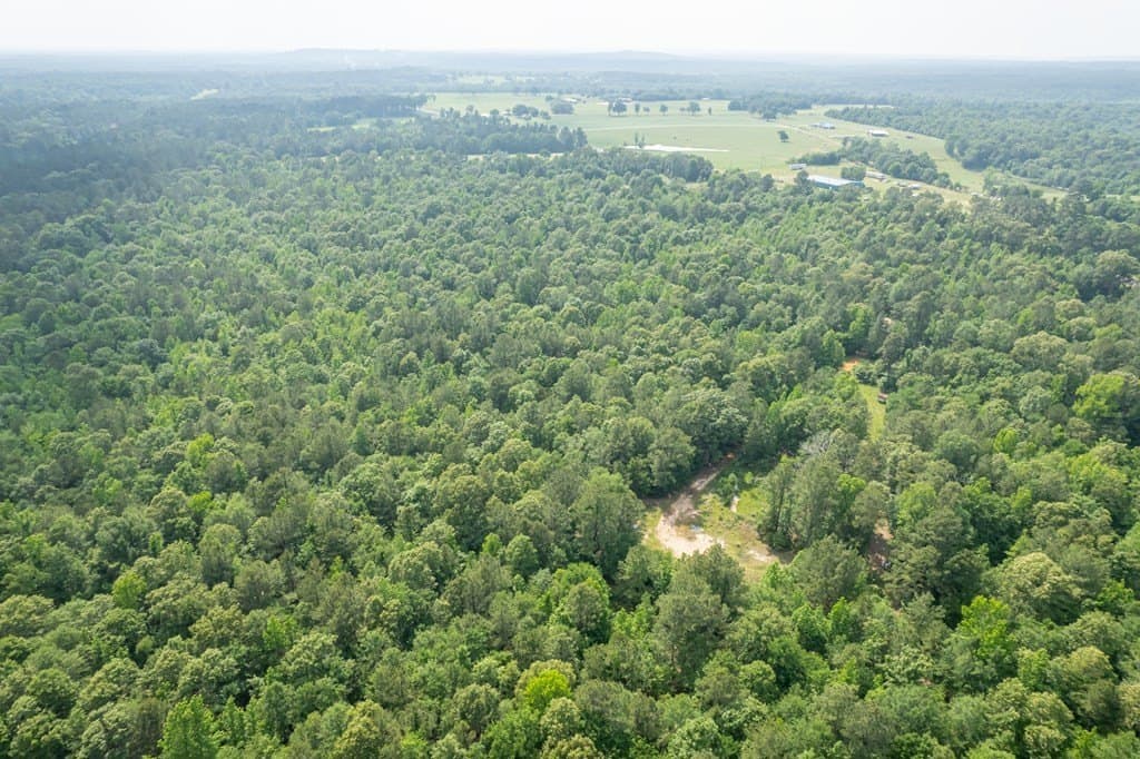 103.29 acres in ANDERSON County - photo 31