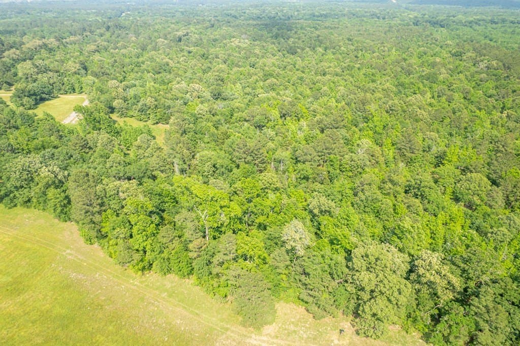 103.29 acres in ANDERSON County - photo 26
