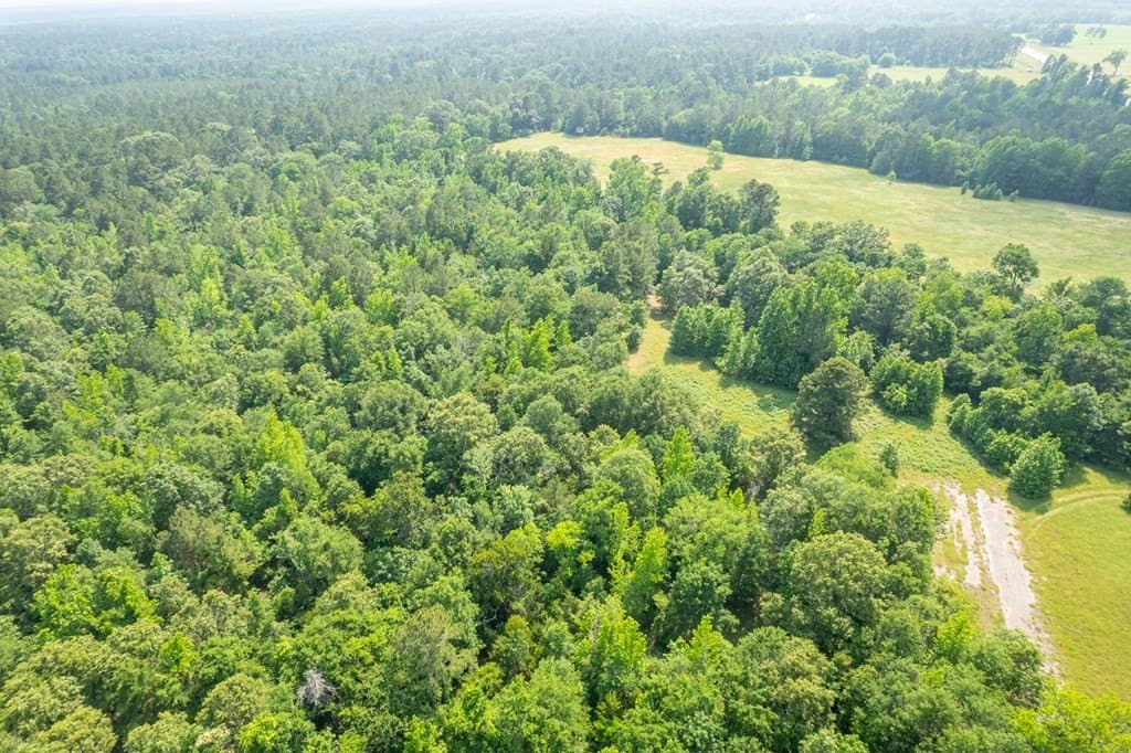 103.29 acres in ANDERSON County - photo 19