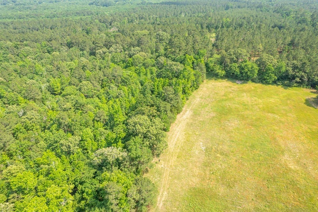 103.29 acres in ANDERSON County - photo 23