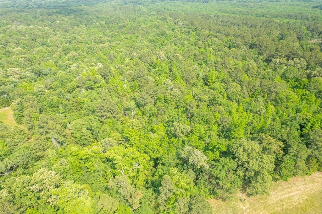 103.29 acres in ANDERSON County - photo 24