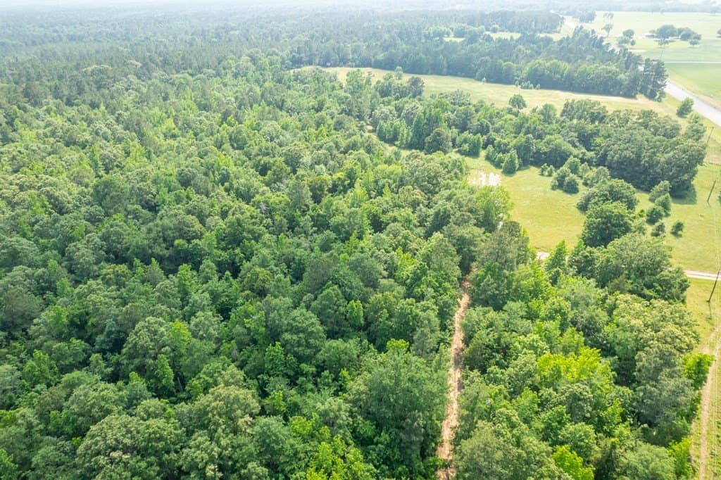 103.29 acres in ANDERSON County - photo 16