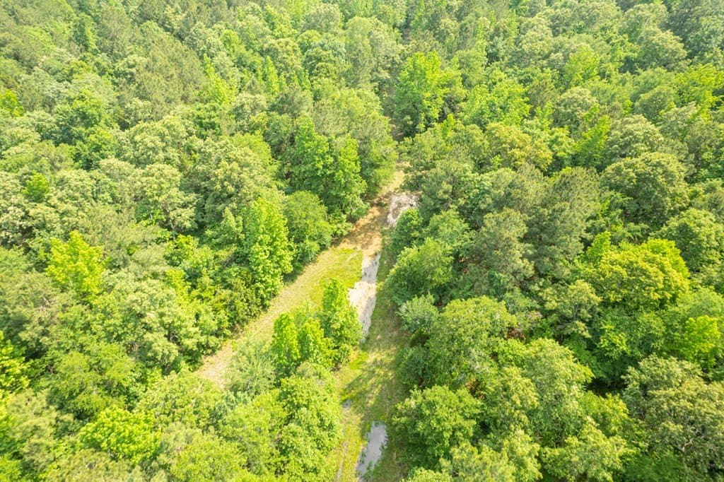 103.29 acres in ANDERSON County - photo 33