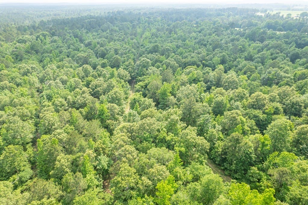 103.29 acres in ANDERSON County - photo 34