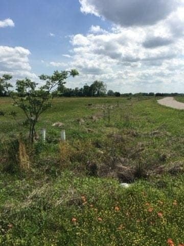 0.58 acres in Hunt County - photo 6