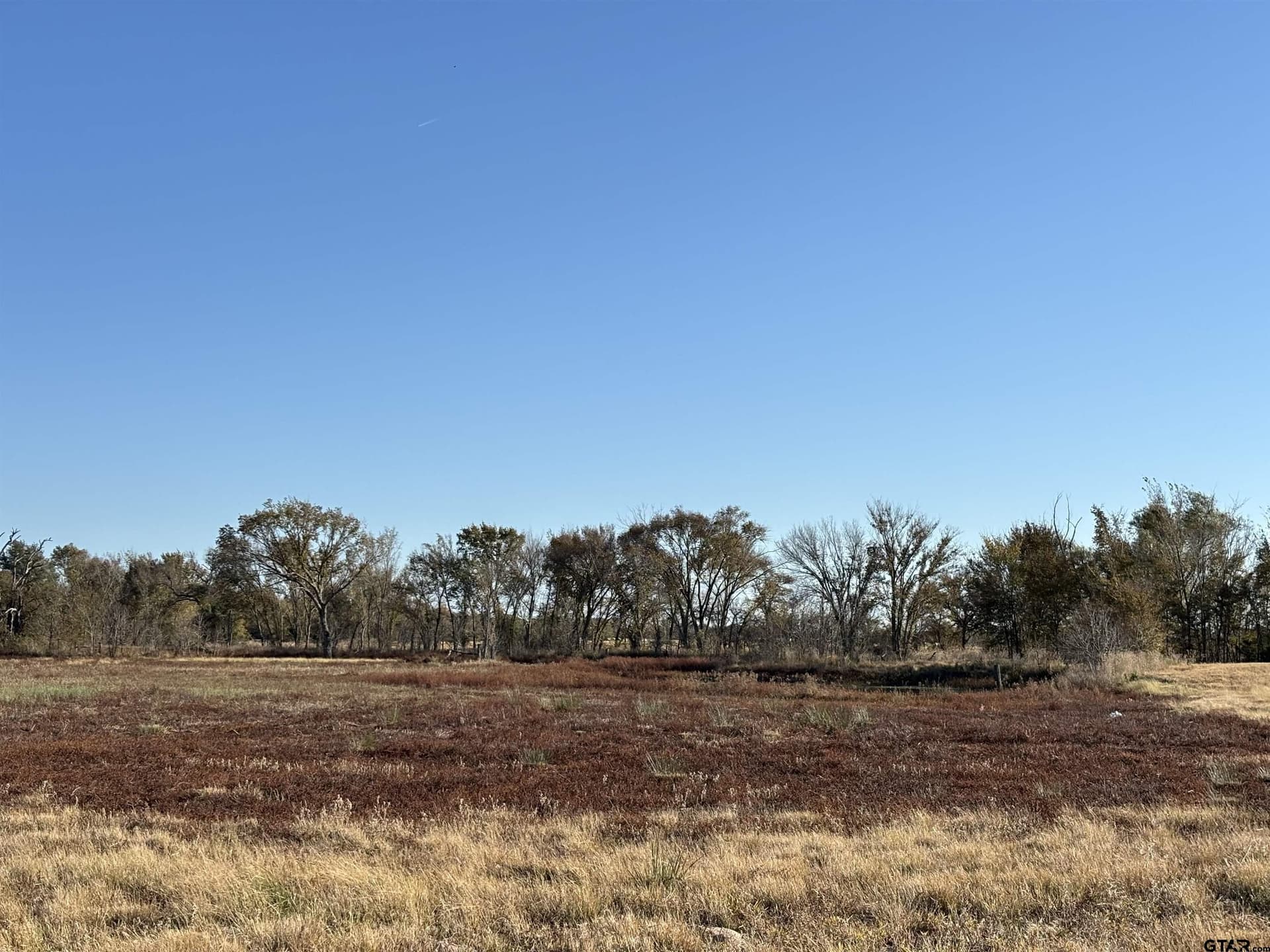 46 acres in Van Zandt County - photo 8