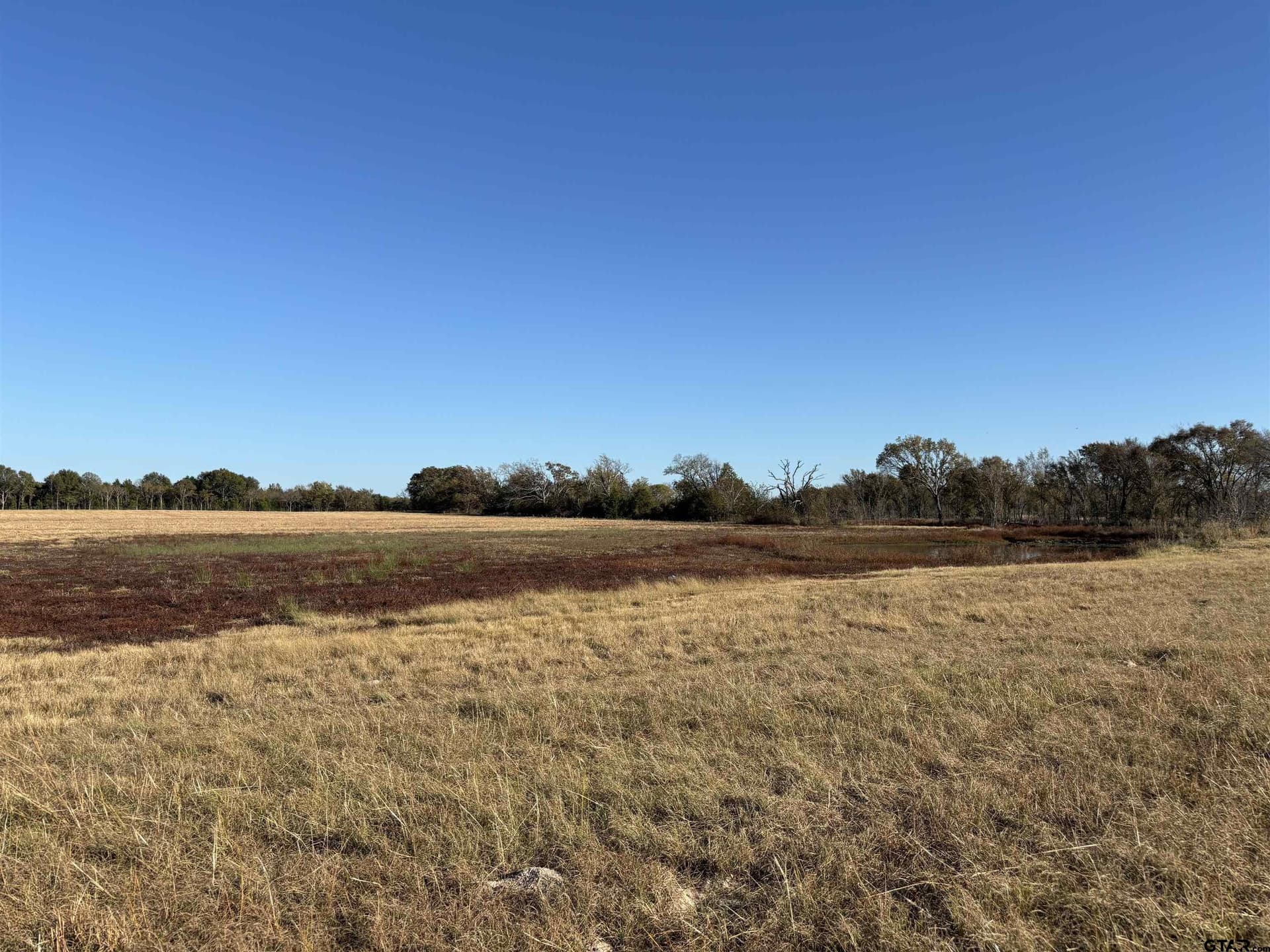 46 acres in Van Zandt County - photo 6