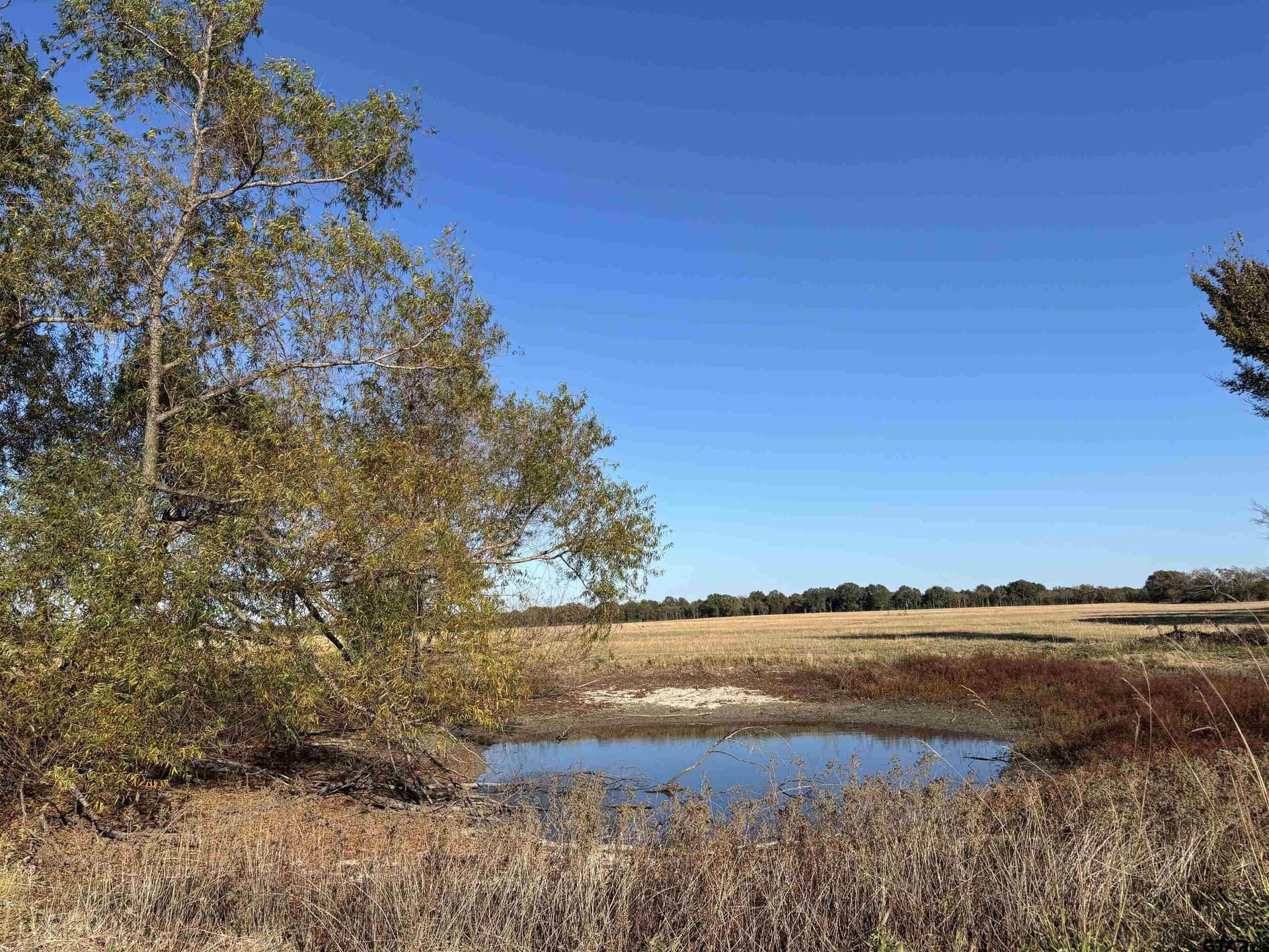 46 acres in Van Zandt County